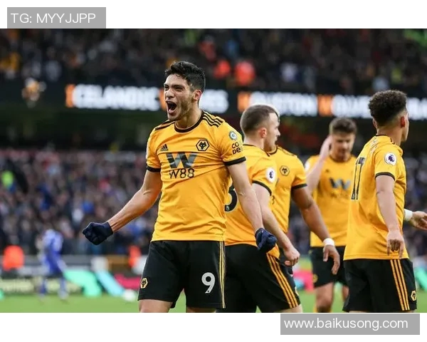 布莱顿对阵狼队赛事分析与推荐策略详解